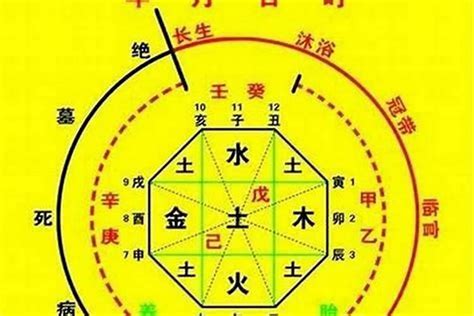 如何看八字喜用神|如何确定八字喜用神 – 八字喜用神的取用技巧